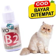 Evo B2 Superior Nutrition Cat Hair Loss Treatment for Thickening Hair