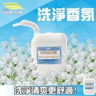  三新甲 洗衣精 三新立潔 強效洗衣精10公斤裝 大容量包裝 1箱2入(20公斤)
