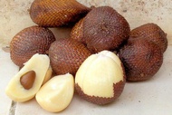 salak pondoh asli manis madu 1kg