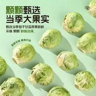 Spore Kale Pet Cat Dog Rabbit Freeze-Dried Spore Kale Vegetable Molar Hamster Guinea Pig Dog Vegetab