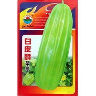 Vegetable Seed Batch White Skin Crispy Melon Melon Seed Nutrition Courtyard Balcony Vegetable Seed L