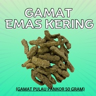 GAMAT EMAS KERING / MENTAH PULAU PANKOR