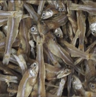 Ikan Asin Teri Padang Tawar Ukuran Besar 250gr