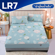 ZENTIA ผ้าปูที่นอนยางพาราแท้ไหมน้ำเเข็ง ลายน่ารักใหม่ล่าสุด ลื่นเย็น ไม่ร้อน ตัดเย็บสวย กันไรฝุ่นได้
