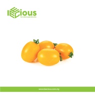 Leecious Fresh Yellow Cherry Tomato 250gram