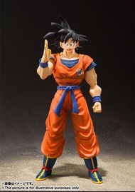 🔥現貨| 本地連鎖店 | 千葉願 | 千葉玩具屋 ｜S.H.Figuarts SHF 孫悟空 在地球上長大的撒亞人