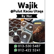 Pulut Kacau utaqa @ wajik