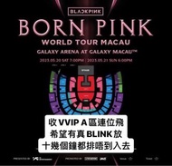收blackpink演唱會飛