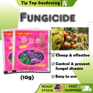 10 GRAMS PINK PACK PLANTS FUNGICIDE 多菌灵 GARDEN TOOLS DECO