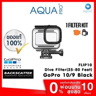 GoPro 10 / 9 Black Protective Housing + BACKSCATTER FLIP10 DIVE Filter (25-80 feet)(8-24 M)