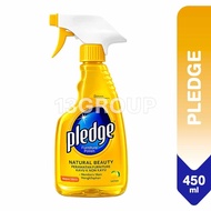 Pledge Furniture Polish Spray / Natural Beauty Wood Non Wood Shine Dust Cleaner Protect, 450ml