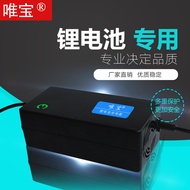 Lithium Battery Charger 43.6 V56.5 V73V57.6 VV54.8V Scooter Unicycle Harley Electric Vehicle