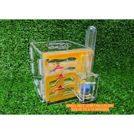 Ant Nest Starter Kit + Ant Colony Type 9 (Upright Nest)