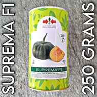 SUPREMA F1 HYBRID KALABASA / SQUASH SEEDS (250 GRAMS) by EAST WEST SEED