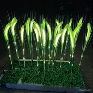 New Luminous Dogtail Grass Lamp Wheat Lamp Reed Lamp Dandelion Lamp Firefly Lights Red Clock-in Lamp Decoration