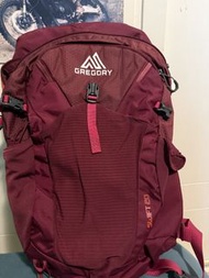 Gregory Swift H2O 20L Daypack