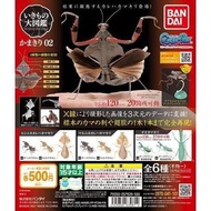 全新 Bandai 昆蟲大圖鑑 枯葉螳螂 02 扭蛋 全6種 獨角仙 鍬形蟲