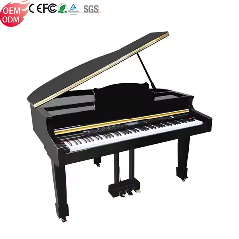 Music Instrument Piano Electronic Piano Digital Piano 88 Weighted Key