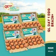 QL Brain+  Day 1 Egg - Medium 60pcs Fresh Egg Farm Fresh Egg Telur Segar