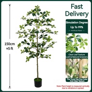 Artificial Black Olive Tree Faux Plant | Realistic Olive Tree for Home Office & Shop Decoration