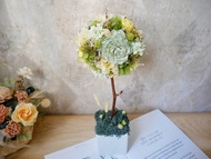 不凋繡球花球樹盆花【初夏日和】開幕禮/新居/名片座/客製化