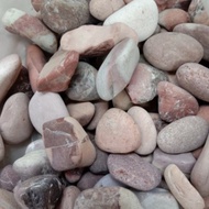 Batu Koral COKLAT 1 kg Coral Taman Terrarium Aquascape