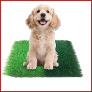 Grass Rug 15.7x15.7in Realistic Waterproof Decoration Artificial Grass Carpet for Dogs Cats Indoor O