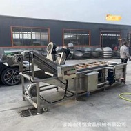 粽葉蘆葦葉黑水虻氣泡清洗機 全自動薺菜去泥機 聖女果清洗設備