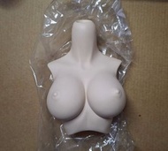 VOLKS Dollfie Dream 2手普肌dd L胸 BJD
