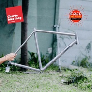 FRAMESET RB DISC TITANIUM SHADOW PAVE SEATPOST TITANIUM FORK CARBON-veestore01