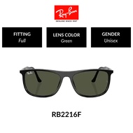 RAY-BAN - RB2216F 901/31