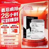 西部数据 企业级氦气硬盘 Ultrastar HC560 SATA 20TB CMR垂直 7200转 512MB (WUH722020BLE6L4)