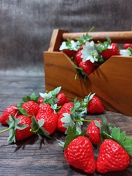 Strawberry Artificial Strawberry Properti Foto Dekorasi Rumah - Ps