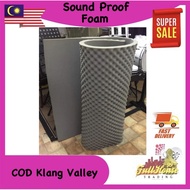 Acoustic Panel Foam (Sound Proof)
