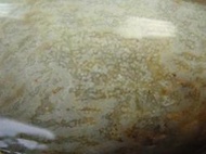 《紀老師的盆栽與收藏-101》海洗優型明顯魚卵棕玉髓〈890公克→m36