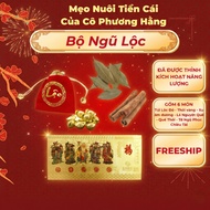 < Ms. Phuong Hang's Tips > Five Fortune Set 6 Taiwanese Feng Shui WealthPiece: Five Blessings - Cinn