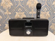 SDRD SD-308 卡拉OK藍牙喇叭