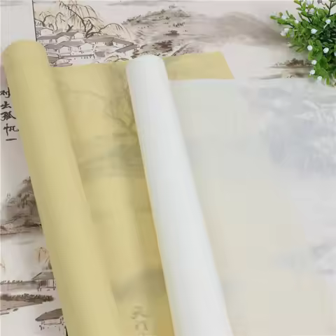 Translucent Mica Xuan Paper Rijstpapier Chinese Calligraphy Painting Tracing Paper Ultra-thin Cicada