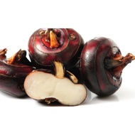 Fresh water Chestnut's / 新鲜泥马蹄 500g 美！