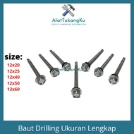 baut spandek sds/self drilling screw 12x60 12x50 12x40 12x20/roofing - 12x60