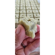 [READY STOCK] 1 PCS ROCKWOOL HIDROPONIK