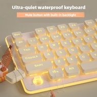 L1 wired keyboard set mouse wireless Mute Lightweight Good-looking Computer Peripheral Keyboard gami