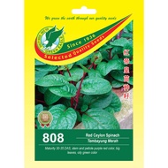 GE 808 RED CEYLON SPINACH