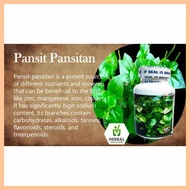 Original*aA|pansit:X<pansitan-wugoodIIforDuprostateivproblems