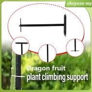 [EhoyoxaMY] Dragon Fruit Trellis, Metal Garden Trellis for Vegetables, Flowers, Cucumbers