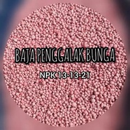🔥REPACK: 1kg Yaramila NPK13:13:21 • Baja Buah • Baja Merah • Yaramila Fertiliser