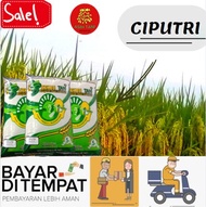 Benih Padi Unggul Ciputri / Bibit Padi Ciputri Kemasan 5kg