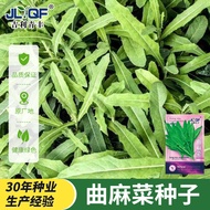 [Local Growing] Local Growing] Bitter Hemp Vegetable Seeds Big Leaf Koji Hemp Vegetable Seeds Bitter