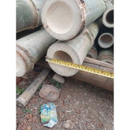 Bambu Petung Bulat Utuh Bahan Layang2 Panjang 1 Meter Ajir Kerajinan