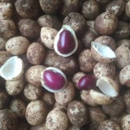 Kacang bogor 250 gr